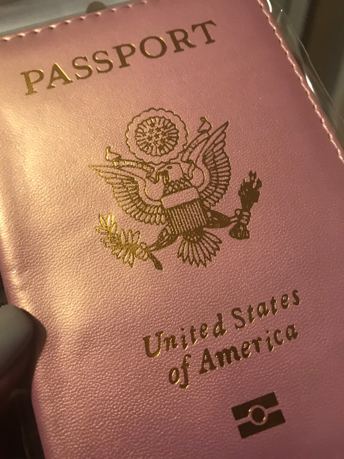 IN STOCK Passport Covers $6